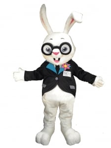 Custom Woodland Creatures Mascot Costumes rabbit