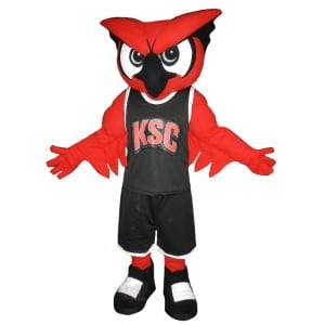Custom Bird Mascot Costume owl