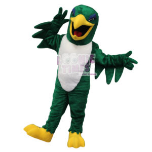 Falcon-woodinville-mascot-min