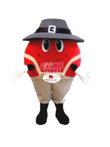 Custom Food Items Mascot Costume Cranberry