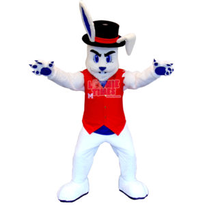 Custom Farm Animal Mascot Costume Rabbit