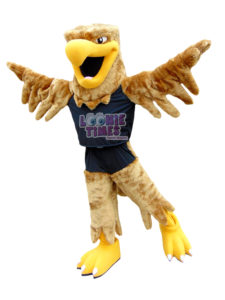 Custom Aquatica Mascot Costume eagle