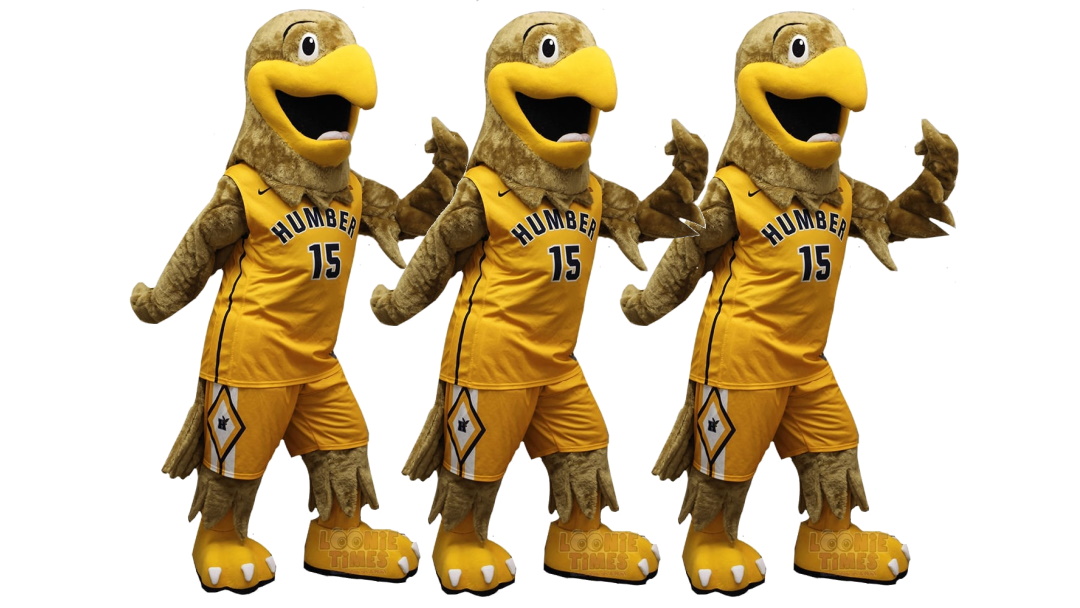 LOONIE TIMES: Humber College Toronto, Ontario Custom Hawk Mascot Costume