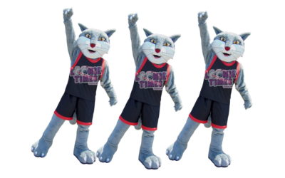 Stewart Avenue Public School’s Custom Mascot Wildcats from Cambridge, Ontario