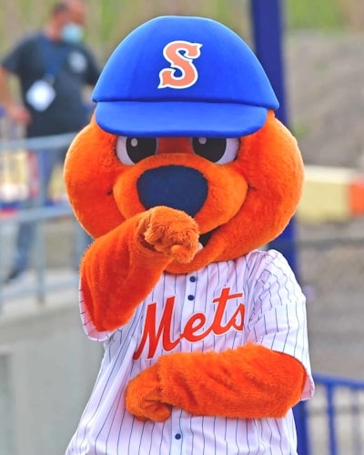 custom baseball team mascot costumes