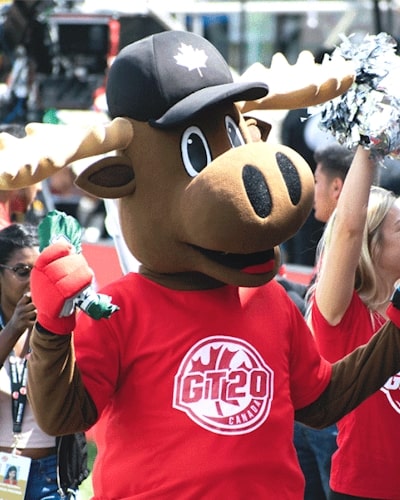 custom cricket team mascot costumes