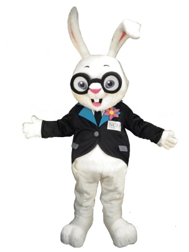 Hocus-Pocus-Rabbit-Mascot